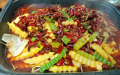 烤鱼糖心VLGO官网入口学费多少钱？